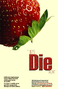 Social Issue Project