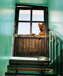 Our group studied "Ethical Issues Regarding Spyware"