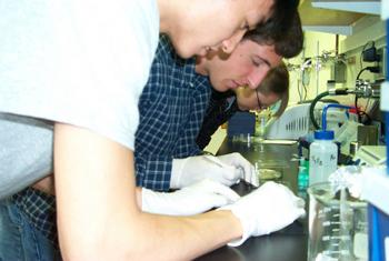 Students at the bench:  Shaw Natsui (foreground), Alan Ginsberg and Lana Lobochova