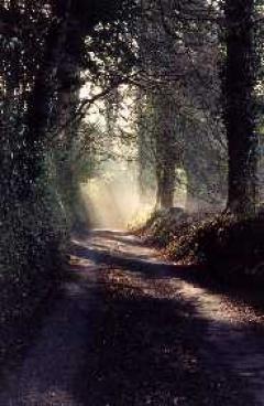 Maybe there IS light at the end of the tunnel?